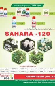 Sahara 120 Brochure4