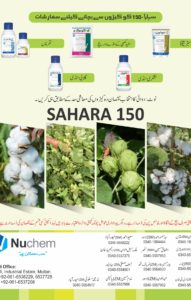 Sahra - 150 - Brochure4